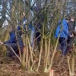 3rd-Brampton-Scouts-Conservation-2018-02-17-p03-150x150