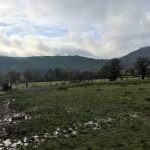 3rd-Brampton-Scouts-Autumn-Walk-2016-11-12-13-51-50-150x150